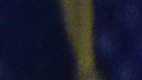 El plantel de Tigres entrena desde casa bajo la supervisión del cuerpo técnico.