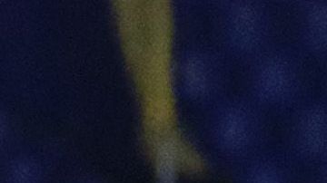 El plantel de Tigres entrena desde casa bajo la supervisión del cuerpo técnico.