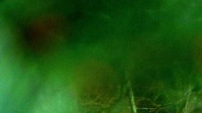 Las Tiny Houses son baratas en su construcción y genera pocos gastos mensuales.