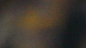 Jorge Torres Nilo, defensa de Tigres.