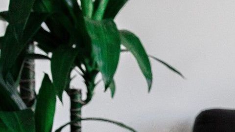 Trabajar en casa puede ser muy cómodo, sólo procura no exagerar por estas razones.