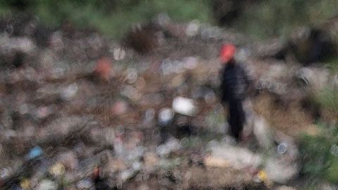 Estas bacterias se alimentan del poliuretano.
