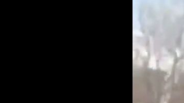 VIDEO: Con ropa de camuflaje sujeto cruza frontera en Arizona