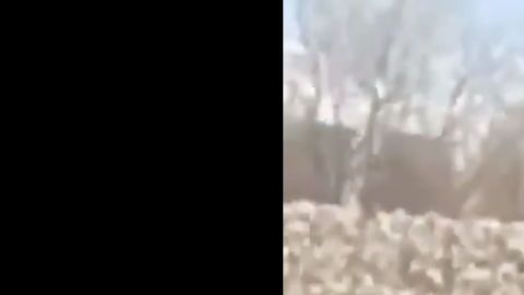 VIDEO: Con ropa de camuflaje sujeto cruza frontera en Arizona