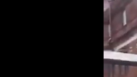 Las imágenes suman millones de reproducciones.