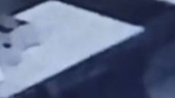 Las cámaras del restaurante captaron el lamentable incidente.