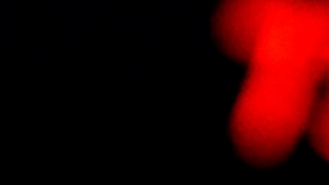 Los índices de la Bolsa no resisten el apagón del coronavirus./EFE