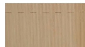 Anthony Ciccarelli en la corte