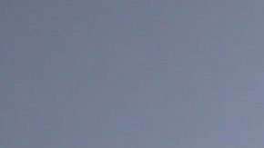 Aprovecha el poder de las flores amarillas.