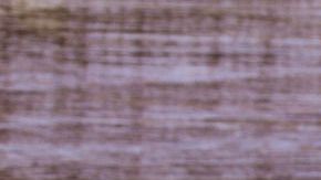 Tuna wraps atún-burrito-Canva