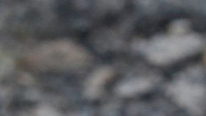 Matan a madre e hija en Ciudad Juárez