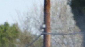 Un oficial de policía detiene a un conductor en Los Ángeles. Foto de archivo.