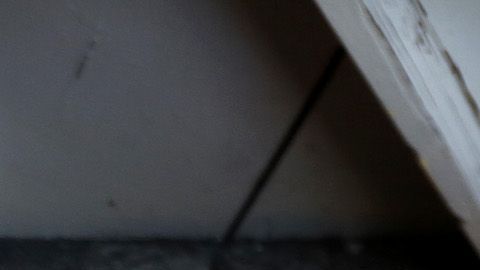 Whyte tenía una pelea programada con Alexandder Povetkin, pero se aplazó por el coronavirus.