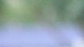 Queens concentra el mayor porcentaje de inmigrantes indocumentados en Nueva York. (Foto: Archivo)