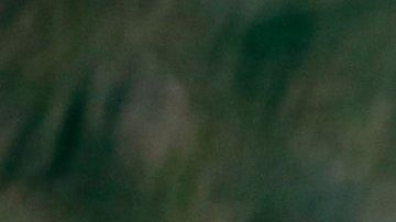 Kim no acudió a la tradicional celebración del aniversario del nacimiento de su abuelo.