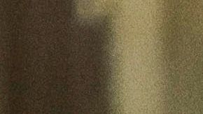 “Dinho” esperará la resolución de la investigación bajo arresto domiciliario en el Hotel Palmaroga.