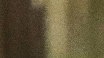 “Dinho” esperará la resolución de la investigación bajo arresto domiciliario en el Hotel Palmaroga.