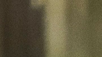 “Dinho” esperará la resolución de la investigación bajo arresto domiciliario en el Hotel Palmaroga.