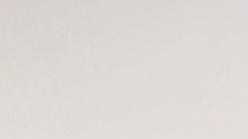 10/23/18 / LOS ANGELES/ Undersheriff Don Barnes joined Mario Cuevas, Head Consul of Mexico in Orange County, during a press conference in Orange County, to unveil a new release public service announcement to remind residents that local law enforcement does not enforce immigration laws while on patrol. (Aurelia Ventura/La Opinion)