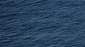 México se negó a aceptar la reducción de petróleo acordada por el resto de la OPEP+.