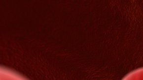 111410300_gettyimages-641382056