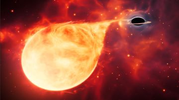 Ilustración: el hipotético agujero negro se reveló a sí mismo al desgarrar una estrella que se acercó demasiado.