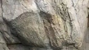 Ying Ying y Le Le lograron aparearse mientras el zoológico estaba cerrado al público debido al coronavirus.