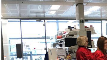 111776816_workersgvlab2_francis_crick_institute-1