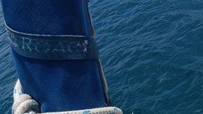 111902201_6a485c04-117d-45d1-b8fe-9c452b65f4e5