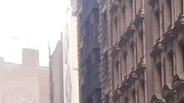 NYPD enfrenta grandes retos inéditos este año