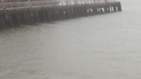 Cartel de búsqueda de los dos niños