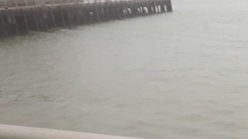 Cartel de búsqueda de los dos niños