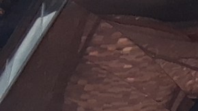 Luto y desolación en Nueva York