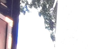 Times Sq, corazón teatral del mundo, está vacío