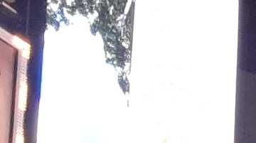 Times Square luce irreconocible sin peatones