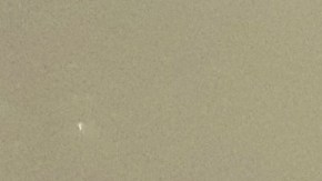 NYPD ante un gran dilema por el coronavirus