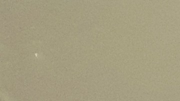 NYPD ante un gran dilema por el coronavirus