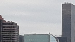 Luto en Nueva York: bandera a media asta