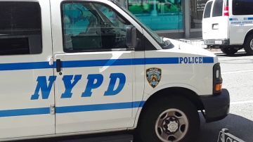 NYPD no ha anunciado arrestos