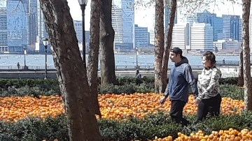 Luto en primavera