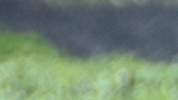 Los campesinos figuran entre los empleos esenciales durante la pandemia.