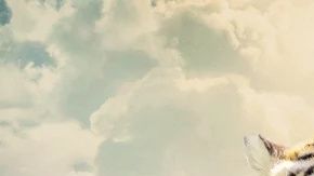 King Tiger se ha convertido en un éxito de Netflix.