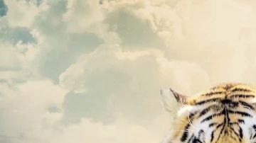 King Tiger se ha convertido en un éxito de Netflix.