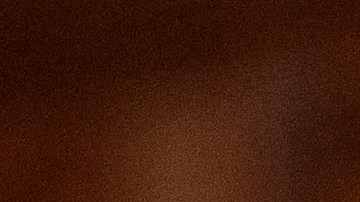 El Gobernador de NY Andrew Cuomo  en conferencia sobre el COVID-19