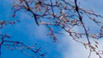 La cadena tiene 12 hospitales en la ciudad de Nueva York, Long Island y el condado de Westchester.