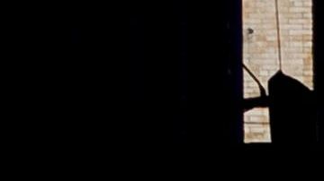 Dos estudios con genomas del coronavirus llegaron a la misma conclusión.