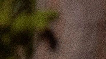 Un especialista realiza la recolección de una muestra nasal en un centro de pruebas móviles de Estados Unidos.