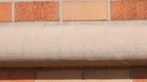 Los decesos se habrían cuadriplicado en Nueva York.