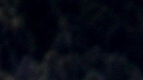 Témpanos producto de la fractura del milenario glaciar Grey.