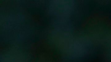 Fauci adelantó que la situación en otoño sería "completamente diferente".